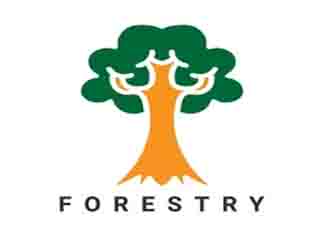 FORESTRY