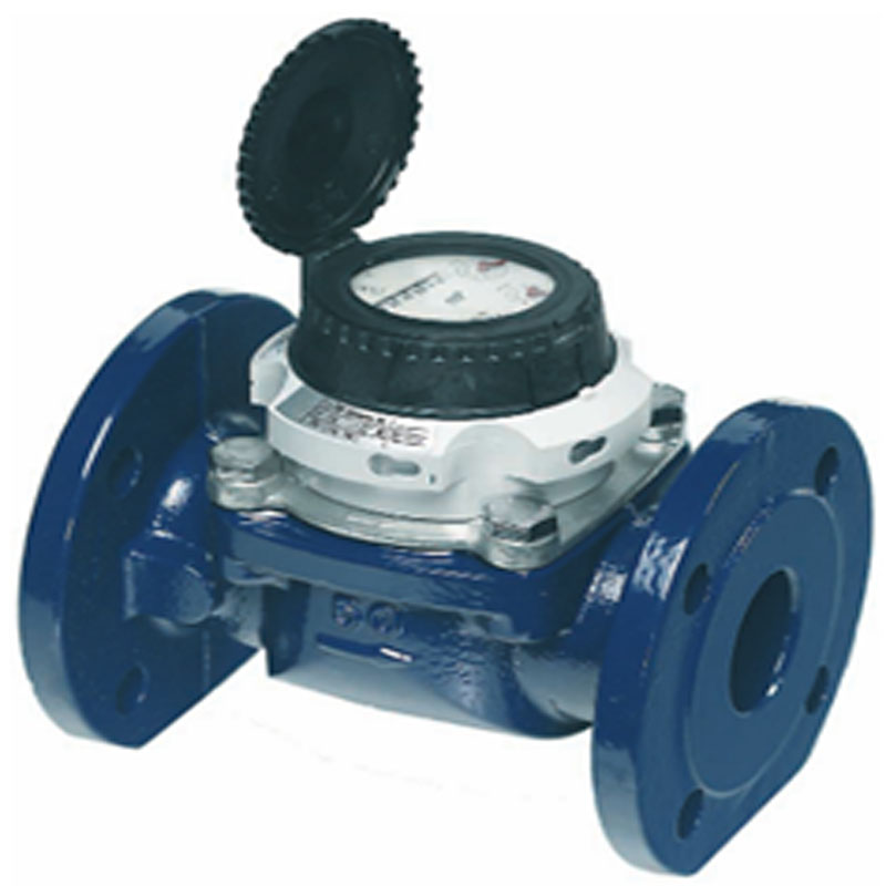 Water Meter SENSUS WP Dynamic DN 65 2.5in