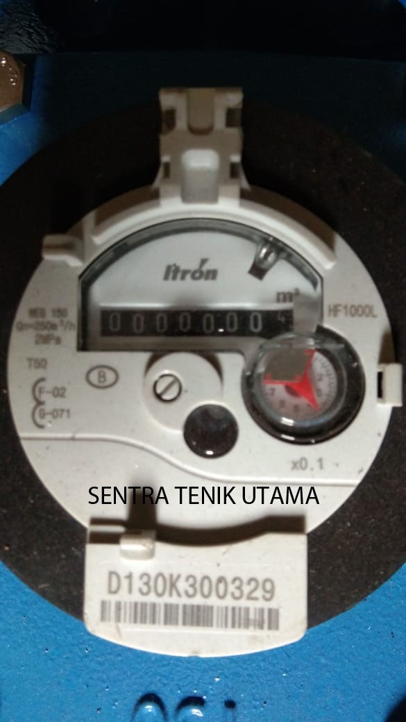 WATER METER WOLTMAX ITRON 6 INCH RKNDS
